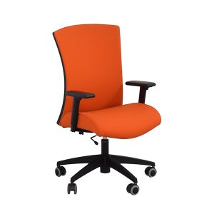 Vion Upholstered Chair