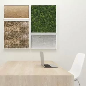 Plant Wall 2
