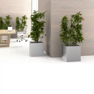 Planters 3