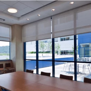 Window Roller Shade 2