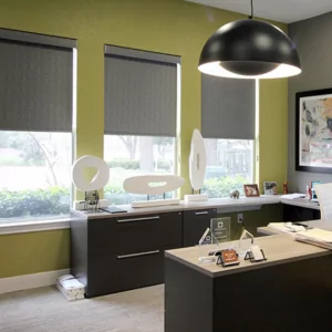 Window Roller Shade 3