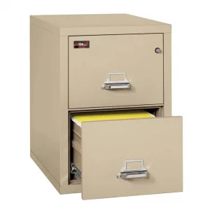 Fireproof Two Drawer Vertical File