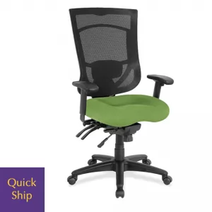 CoolMesh Pro Desk Chair 1