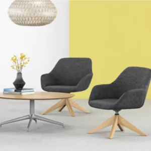 Melina Guest and Meeting Chairs 2