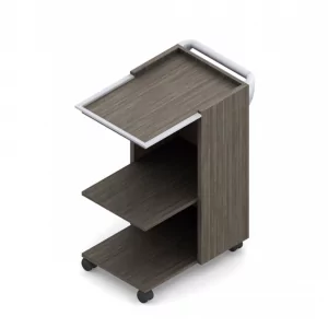 Mobile Media Cart 1