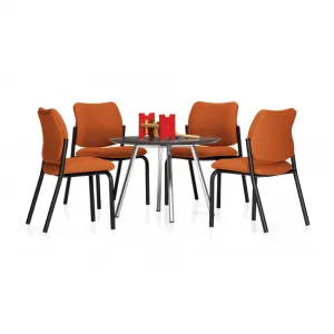 Sidero Meeting and Guest Chairs 2