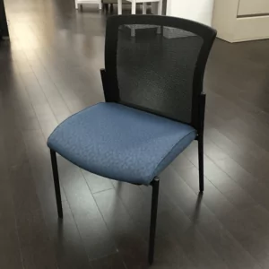 Vion Meeting and Guest Chairs 2