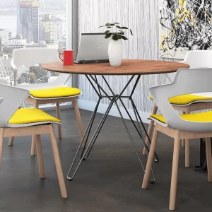 Zee Meeting and Guest Chairs 3