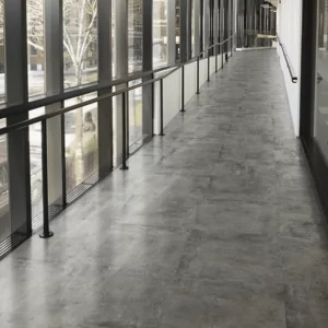 LVT 5