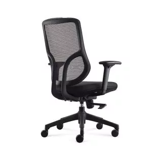 Tango Mesh Desk Chair 1
