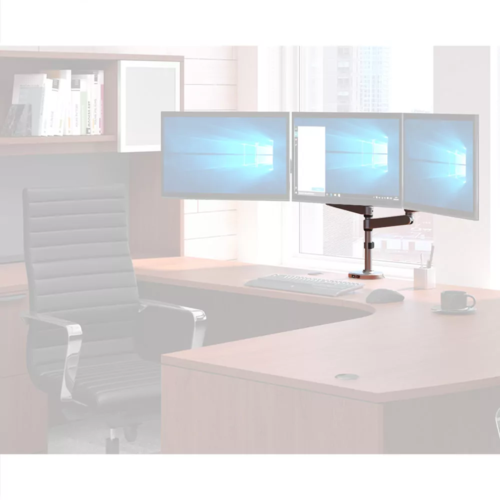 Monitor Arm 4