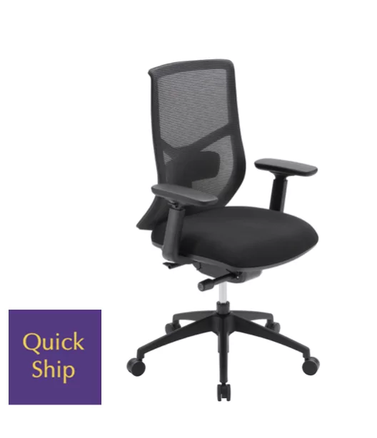 Starlight 2 ergonomic office chair with mesh back and adjustable arms, featuring "Quick Ship" badge for fast delivery.